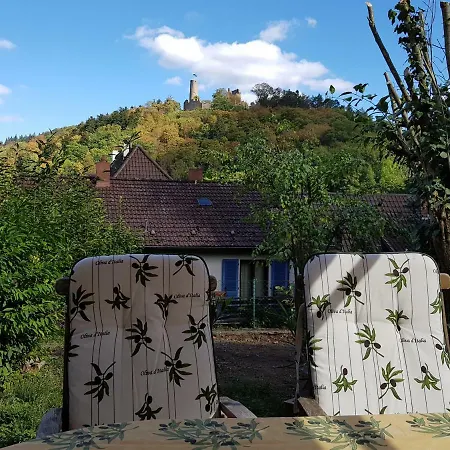 Fewo Am Blauen Hut In Apartamento *