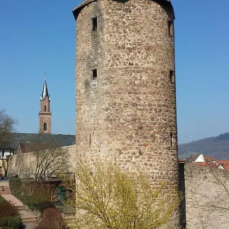 Fewo Am Blauen Hut In Apartamento Weinheim